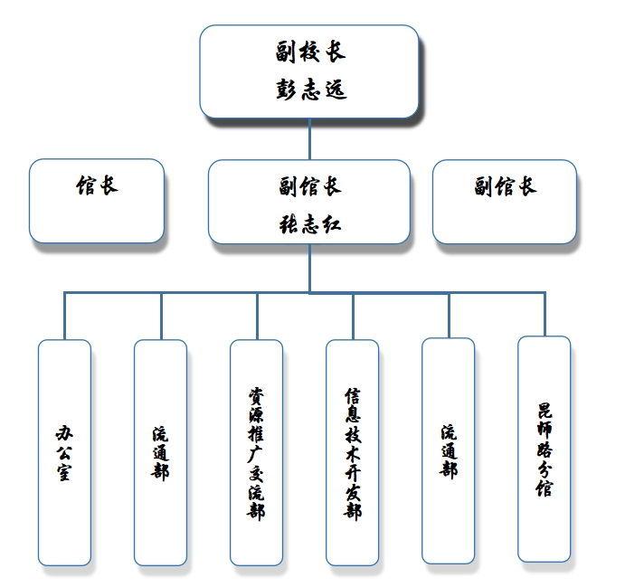 组织结构